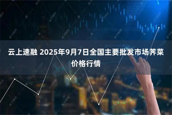 云上速融 2025年9月7日全国主要批发市场荠菜价格行情