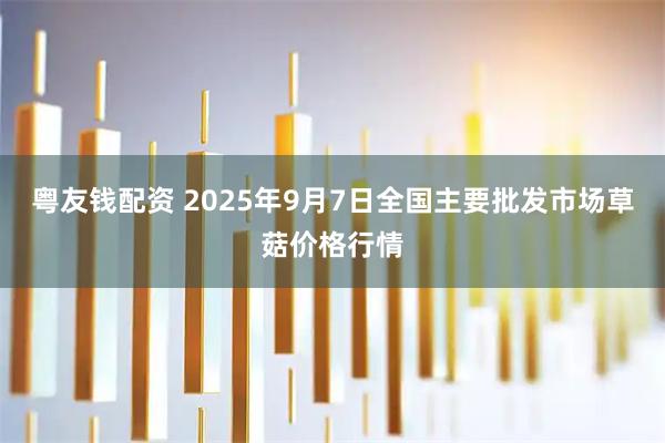 粤友钱配资 2025年9月7日全国主要批发市场草菇价格行情