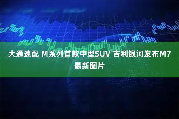 大通速配 M系列首款中型SUV 吉利银河发布M7最新图片