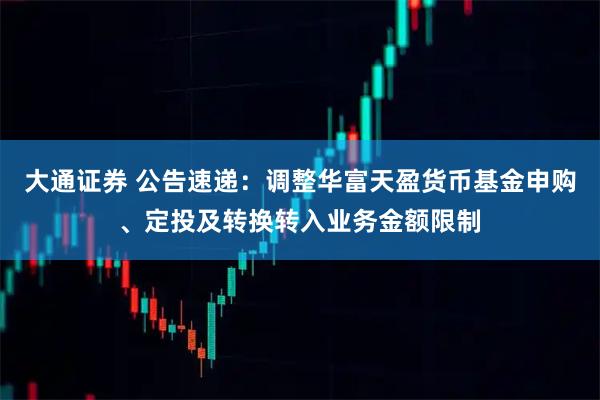 大通证券 公告速递：调整华富天盈货币基金申购、定投及转换转入业务金额限制