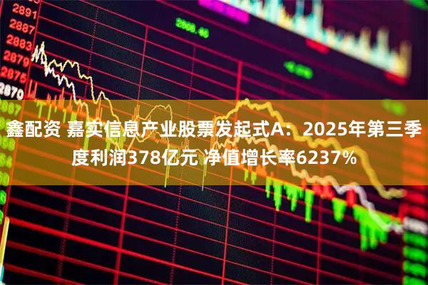 鑫配资 嘉实信息产业股票发起式A：2025年第三季度利润378亿元 净值增长率6237%