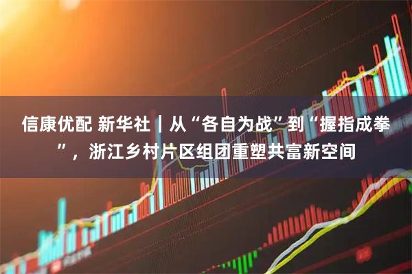 信康优配 新华社｜从“各自为战”到“握指成拳”，浙江乡村片区组团重塑共富新空间